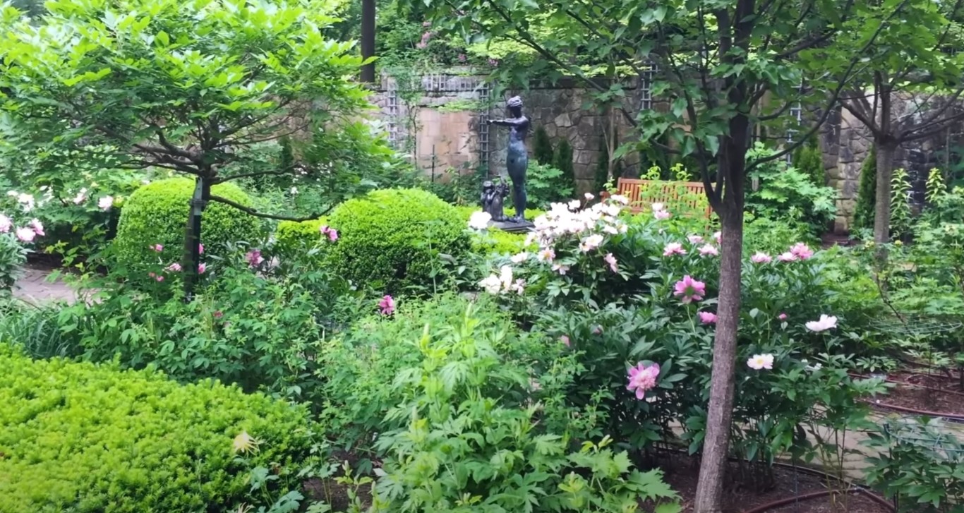 Professional tree trimming and removal services in Burleson, TX